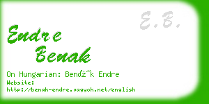 endre benak business card